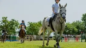 Sulimiada 2022, zobacz naszą fotorelację - zdjęcie 44