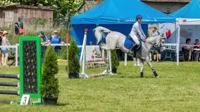 Sulimiada 2022, zobacz naszą fotorelację - zdjęcie 51