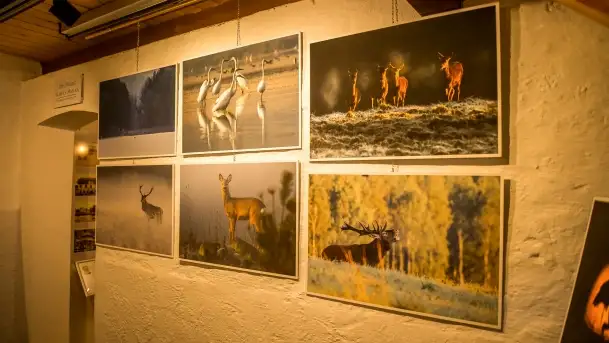 Fotorelacja -  Ogólnopolski Dzień Parków Krajobrazowych w Puszczy Piskiej - zdjęcie 7