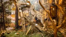 Fotorelacja -  Ogólnopolski Dzień Parków Krajobrazowych w Puszczy Piskiej - zdjęcie 6