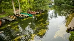 Fotorelacja -  Ogólnopolski Dzień Parków Krajobrazowych w Puszczy Piskiej - zdjęcie 2