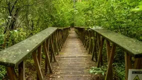 Fotorelacja -  Ogólnopolski Dzień Parków Krajobrazowych w Puszczy Piskiej - zdjęcie 53