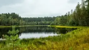 Fotorelacja -  Ogólnopolski Dzień Parków Krajobrazowych w Puszczy Piskiej - zdjęcie 54