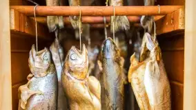 Warsztaty kulinarne w Karwiku - foteralacja - zdjęcie 10