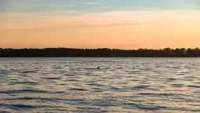 Zachód słońca nad jeziorem Przystań, czerwiec 2022 - zdjęcie 11