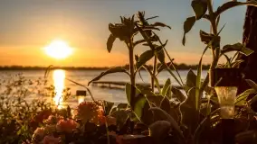 Zachód słońca nad jeziorem Przystań, czerwiec 2022 - zdjęcie 32