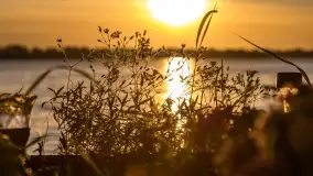 Zachód słońca nad jeziorem Przystań, czerwiec 2022 - zdjęcie 14