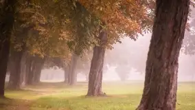 Szczytno i okolice na zdjęciach Marty Sotnik, 2022 - zdjęcie 17