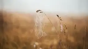 Szczytno i okolice na zdjęciach Marty Sotnik, 2022 - zdjęcie 23