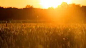 Wiosenny zachód słońca w okolica jeziora Stręgiel - zdjęcie 1