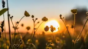 Wiosenny zachód słońca w okolica jeziora Stręgiel - zdjęcie 9