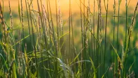 Wiosenny zachód słońca w okolica jeziora Stręgiel - zdjęcie 4