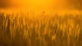 Wiosenny zachód słońca w okolica jeziora Stręgiel - zdjęcie 6