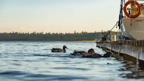 Zachód słońca nad jeziorem Mamry, Cypel Zwierzyniecki Róg - zdjęcie 32