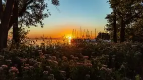 Sierpniowy zachód słońca nad jeziorem Dargin - zdjęcie 11