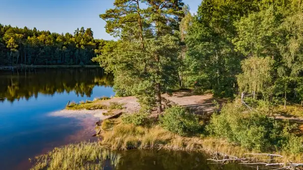 Jezioro Wesołek i puszcza Piska - zdjęcie 2