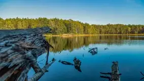 Jezioro Wesołek i puszcza Piska - zdjęcie 7