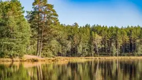 Jezioro Wesołek i puszcza Piska - zdjęcie 19