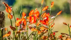 Jezioro Wesołek i puszcza Piska - zdjęcie 9