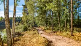 Jezioro Wesołek i puszcza Piska - zdjęcie 26