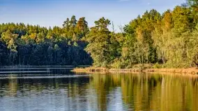 Jezioro Wesołek i puszcza Piska - zdjęcie 35