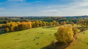 Jesień na mazurskich traktach, polach i łąkach, październik 2022 - zdjęcie 31