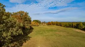 Jesień na mazurskich traktach, polach i łąkach, październik 2022 - zdjęcie 135