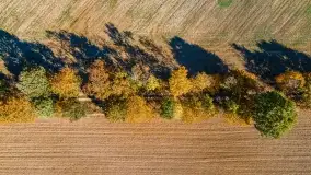 Jesień na mazurskich traktach, polach i łąkach, październik 2022 - zdjęcie 51