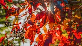 Jesień na mazurskich traktach, polach i łąkach, październik 2022 - zdjęcie 68