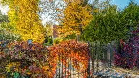 Jesień na mazurskich traktach, polach i łąkach, październik 2022 - zdjęcie 70