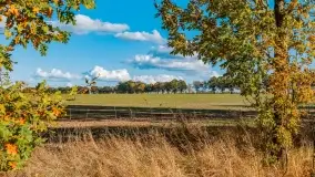 Jesień na mazurskich traktach, polach i łąkach, październik 2022 - zdjęcie 131