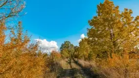 Jesień na mazurskich traktach, polach i łąkach, październik 2022 - zdjęcie 118