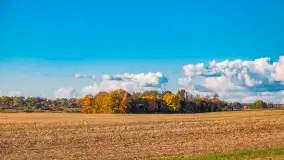 Jesień na mazurskich traktach, polach i łąkach, październik 2022 - zdjęcie 104