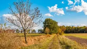 Jesień na mazurskich traktach, polach i łąkach, październik 2022 - zdjęcie 151