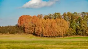 Jesień na mazurskich traktach, polach i łąkach, październik 2022 - zdjęcie 149