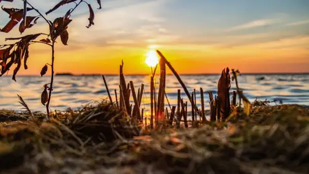 Zachód słońca w Pieczarkach, jezioro Dargin, lipiec 2022 - zdjęcie 11