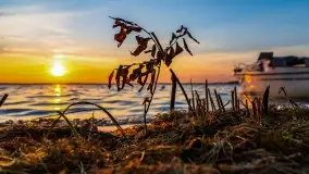 Zachód słońca w Pieczarkach, jezioro Dargin, lipiec 2022 - zdjęcie 10