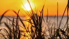 Zachód słońca w Pieczarkach, jezioro Dargin, lipiec 2022 - zdjęcie 38