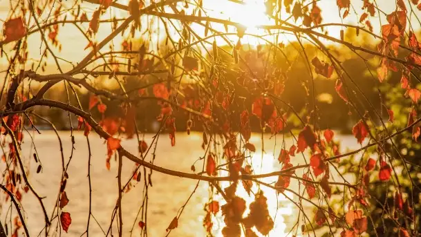 Zachód słońca w Rynie, październik 2022 - zdjęcie 10