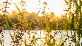 Zachód słońca w Rynie, październik 2022 - zdjęcie 34