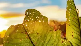 Zachód słońca w Rynie, październik 2022 - zdjęcie 15