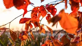 Jesienny zachód słońca nad jeziorem Mój, październik 2022 - zdjęcie 21