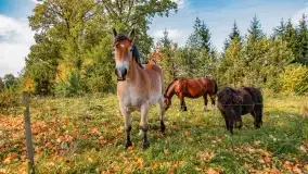 Fotograficzne podsumowanie jesieni na Mazurach 2022 - zdjęcie 10