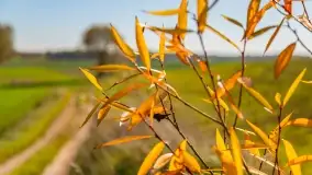 Fotograficzne podsumowanie jesieni na Mazurach 2022 - zdjęcie 88