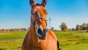 Fotograficzne podsumowanie jesieni na Mazurach 2022 - zdjęcie 114