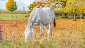 Fotograficzne podsumowanie jesieni na Mazurach 2022 - zdjęcie 112