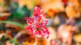 Fotograficzne podsumowanie jesieni na Mazurach 2022 - zdjęcie 137