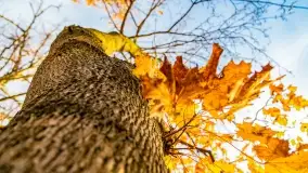 Fotograficzne podsumowanie jesieni na Mazurach 2022 - zdjęcie 151