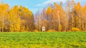 Fotograficzne podsumowanie jesieni na Mazurach 2022 - zdjęcie 37