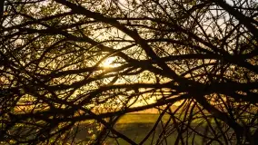 Zachód słońca w Maciejkach, niedaleko Mazur - zdjęcie 25